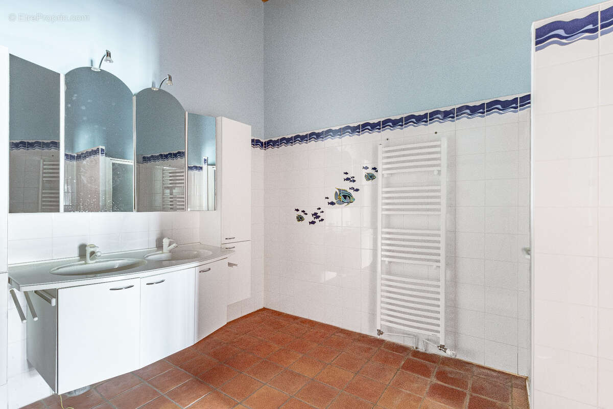 Propriété avec maison, piscine et ancien restaurant - photo 7