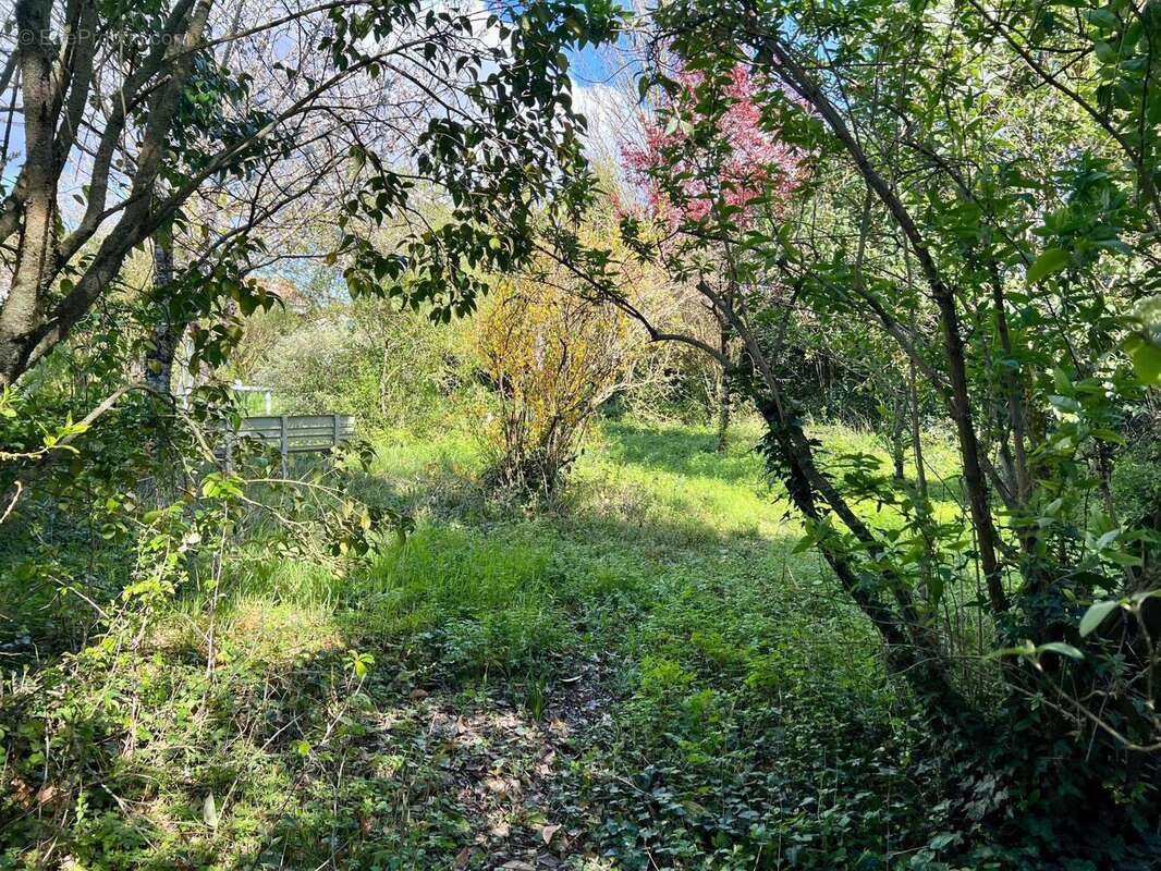 Photo 4 - Maison à MAZERAY