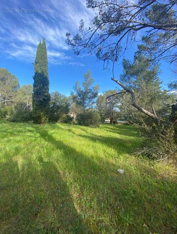 Terrain à MONTFERRIER-SUR-LEZ