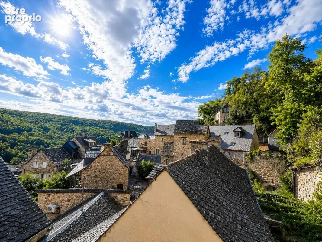 Ensemble immobilier de caractère à Salles-la-Source - photo 6
