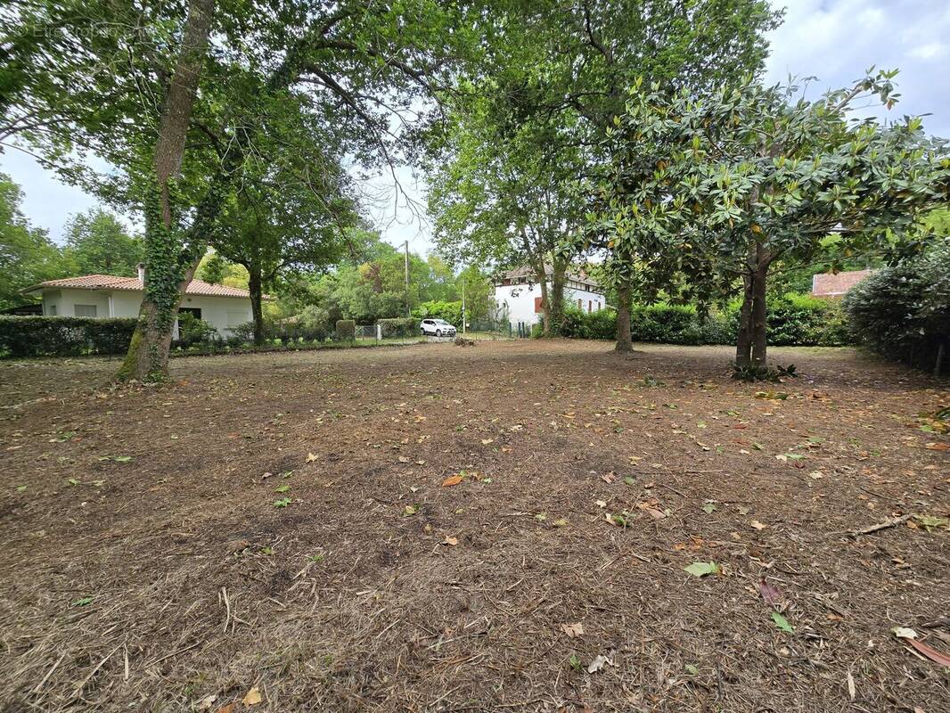 Terrain à MESSANGES