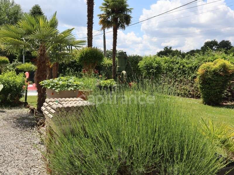 Maison à CHEVANCEAUX