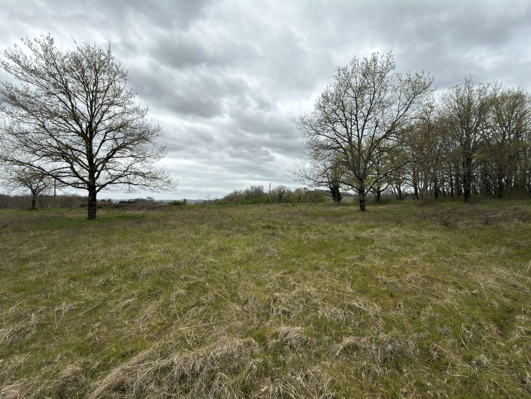 Terrain à HAUTEFORT