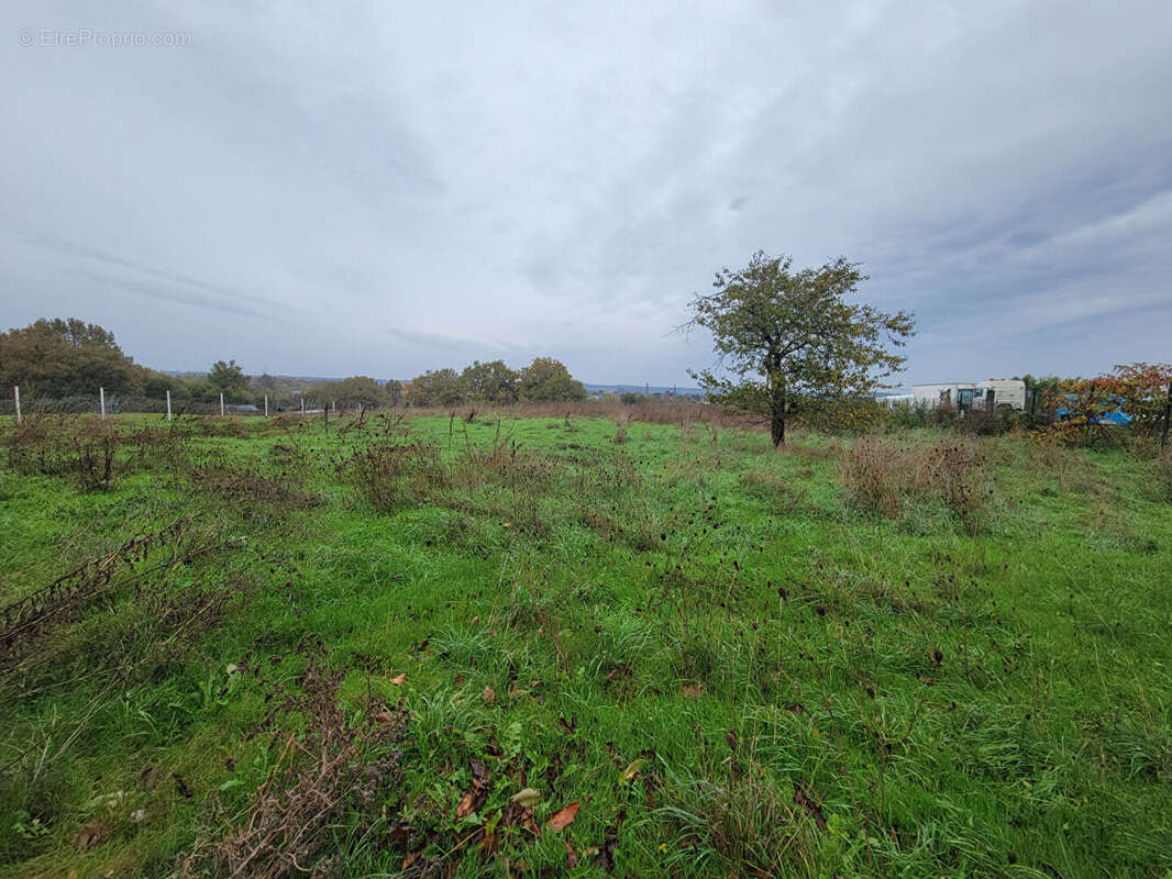 Commerce à BERGERAC