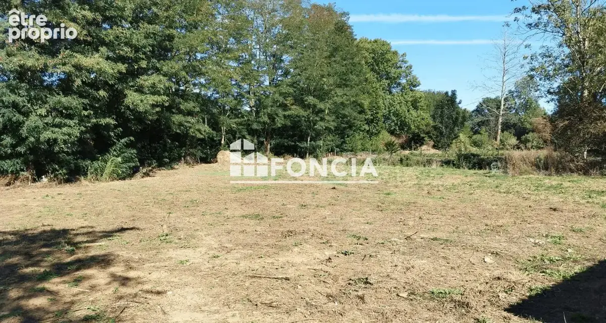 Maison de plain-pied avec  2300 m² de terrain - saint-martin-des-noyers – à proximité du bourg - photo 11