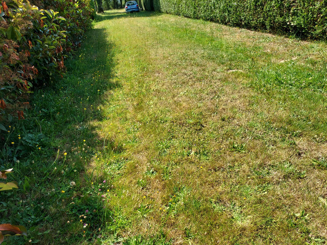 terrain constructible - photo 2
