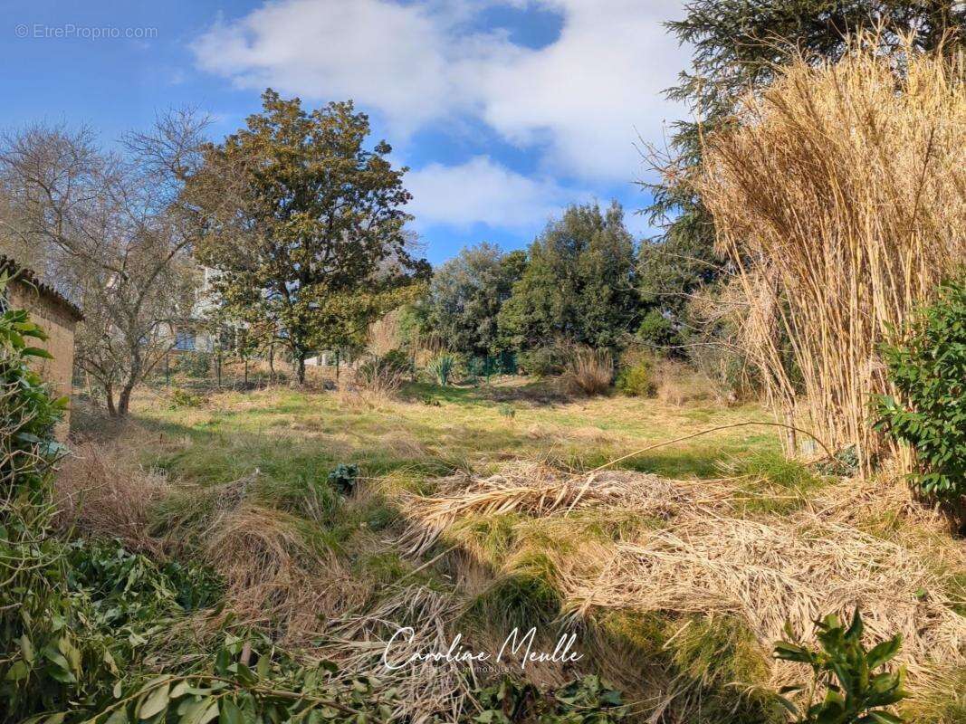 Terrain à COLLONGES-AU-MONT-D'OR