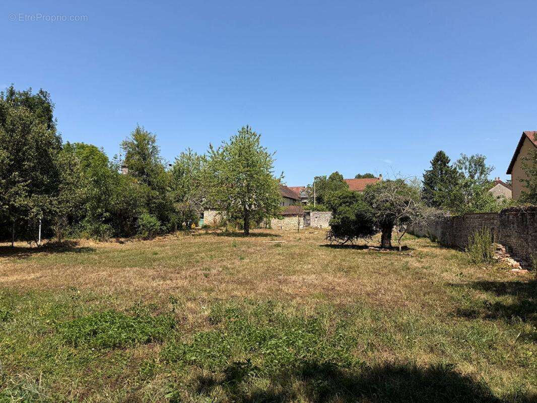 Terrain constructible viabilisé au bord de l'eau - photo 8