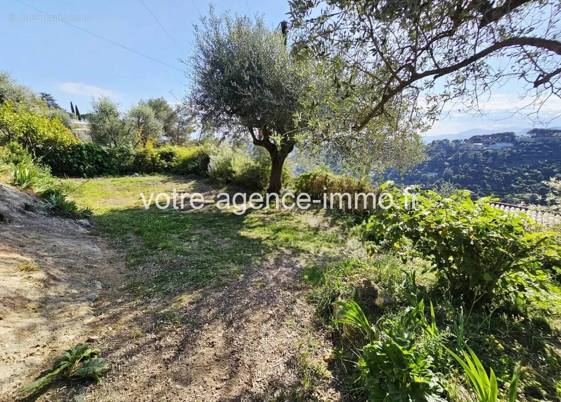 Terrain à ASPREMONT