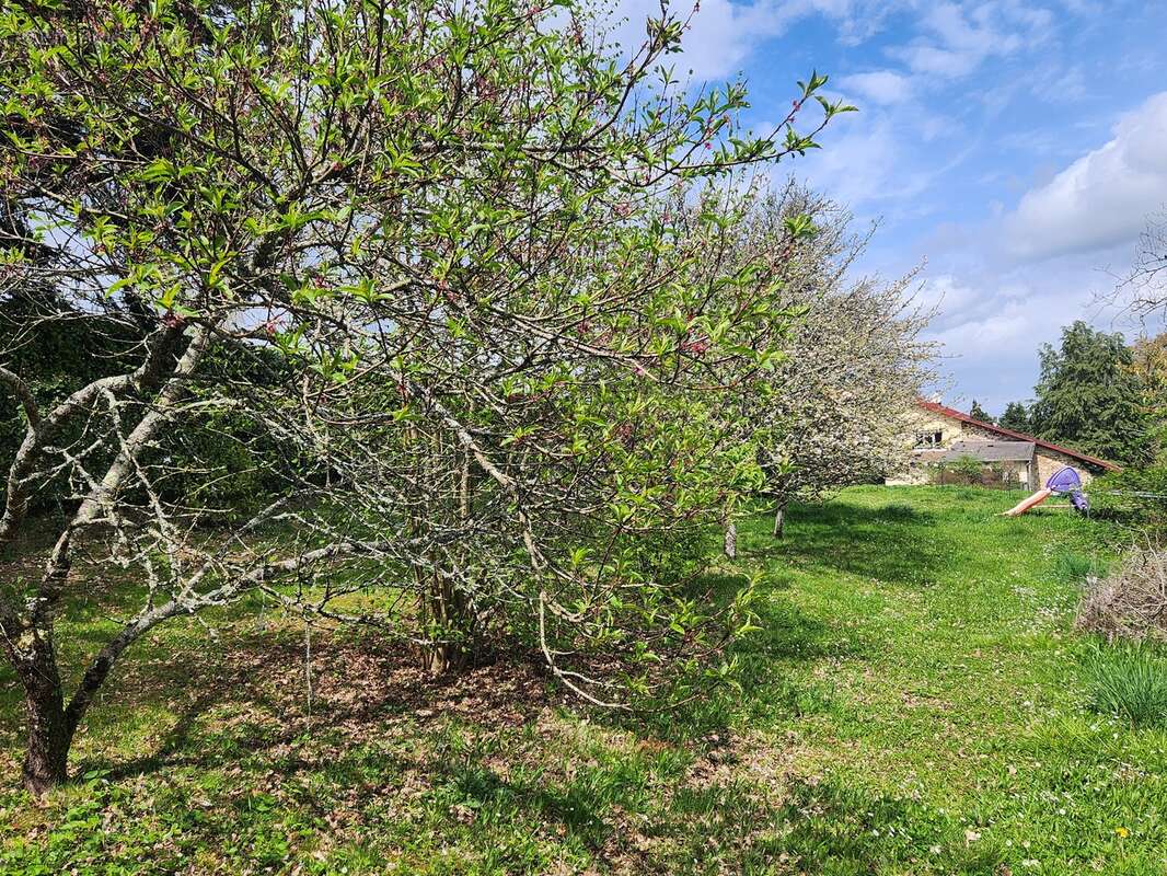 Terrain à COUZEIX
