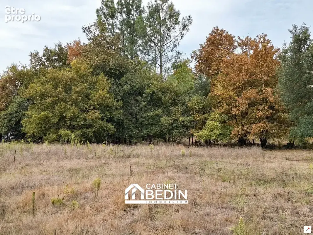 Terrain 1 100 m² à vendre à Parentis-En-Born (40160) - photo 2