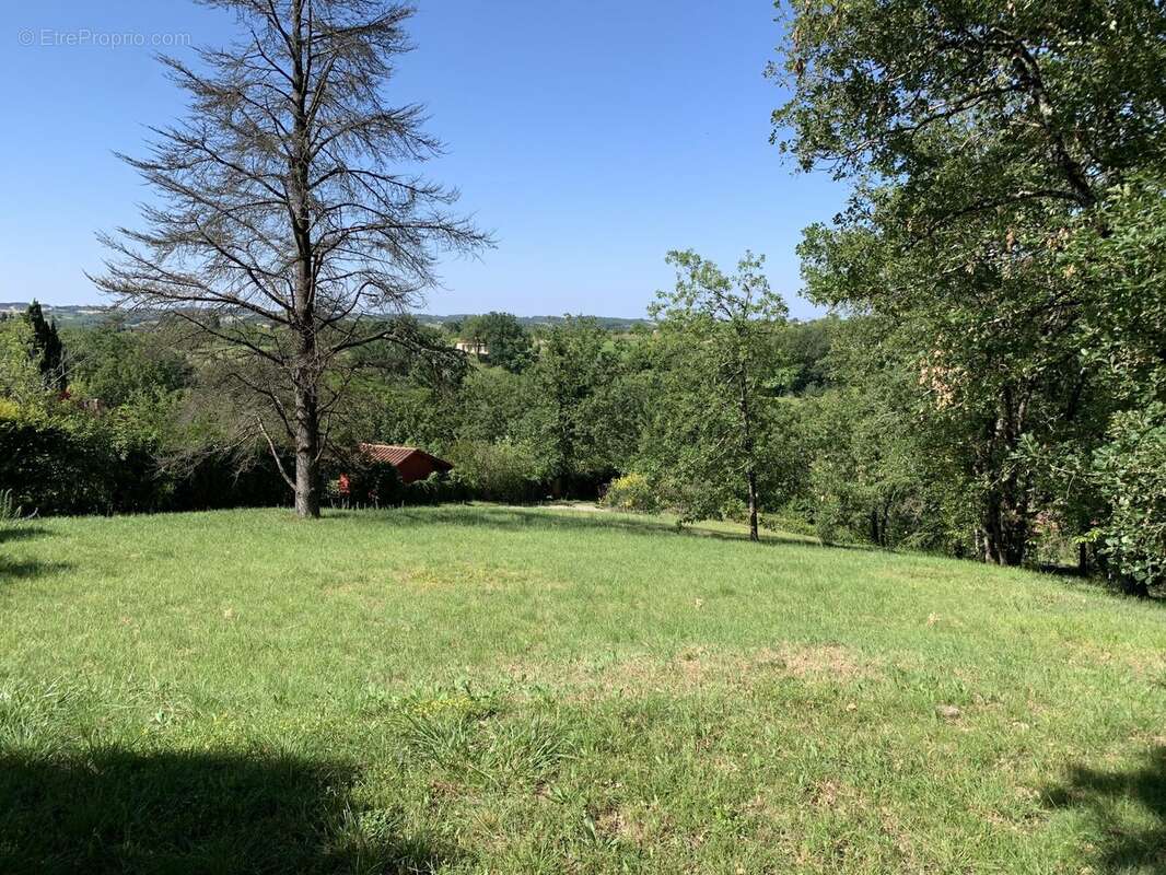 Terrain à ALBI