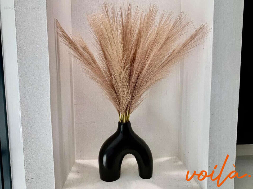 Maison à CARCASSONNE