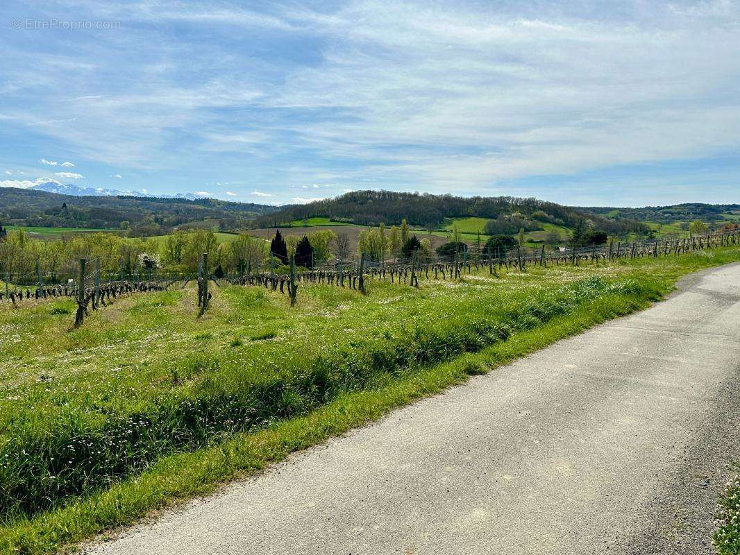 Maison à BELLEGARDE-DU-RAZES
