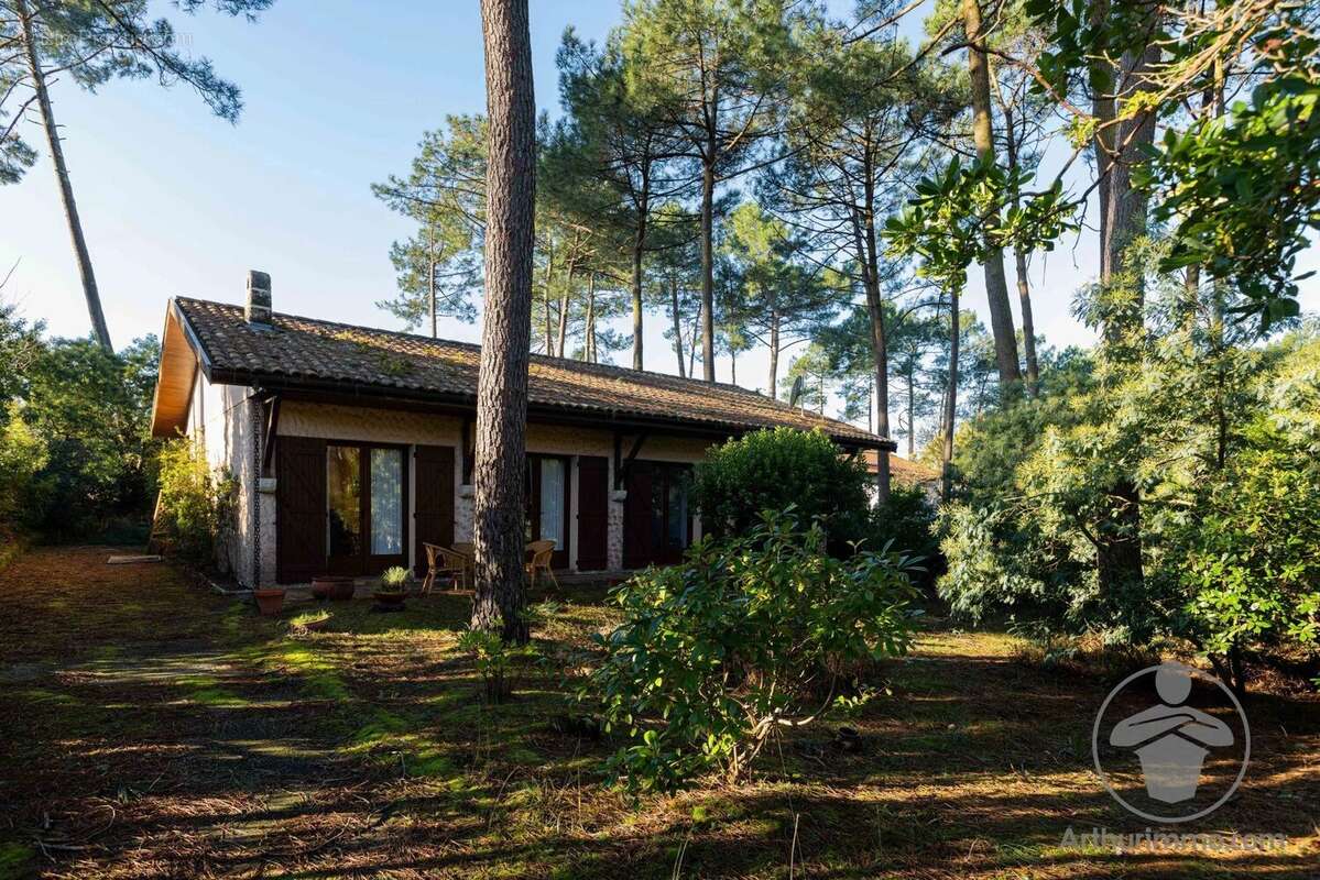 Maison à BISCARROSSE