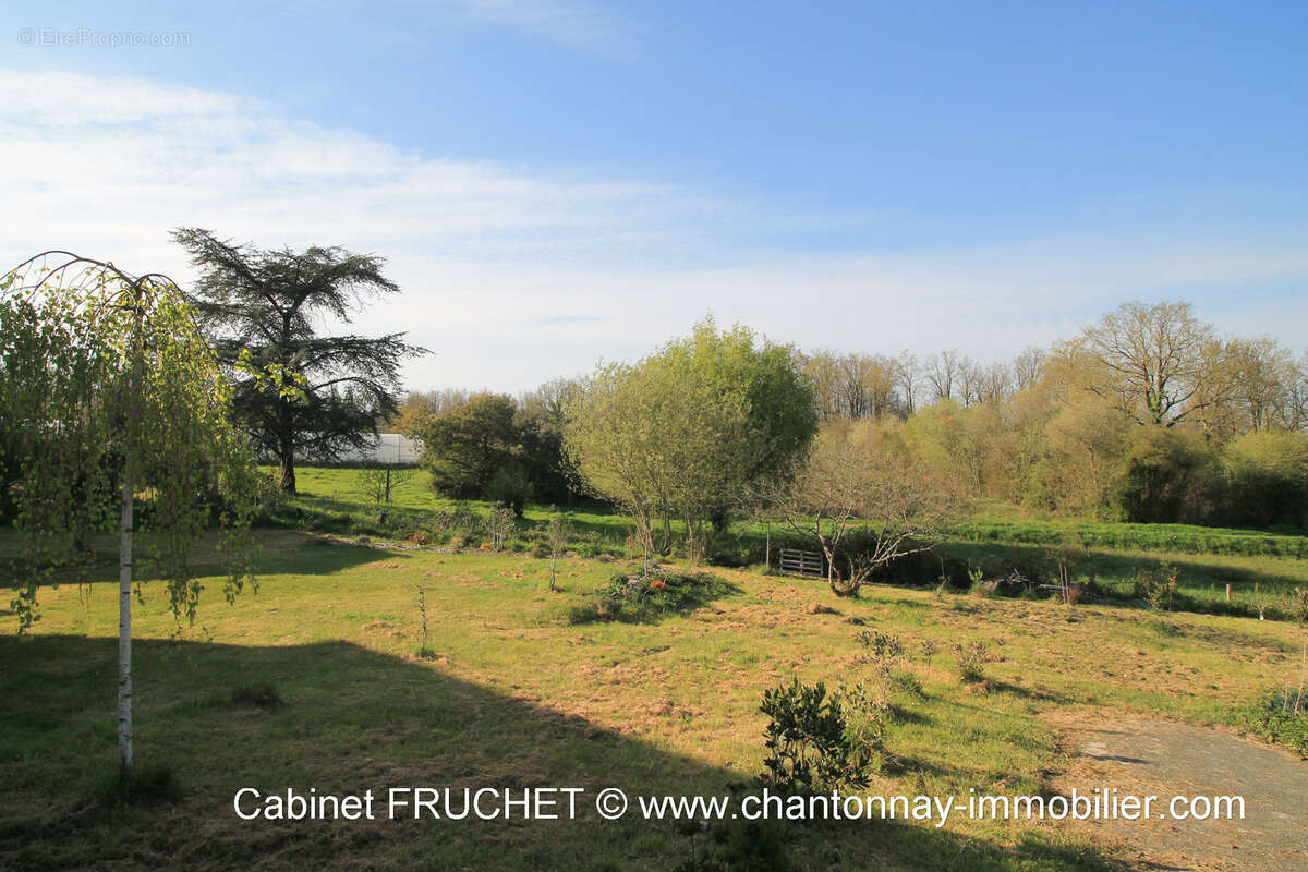 Maison à CHANTONNAY