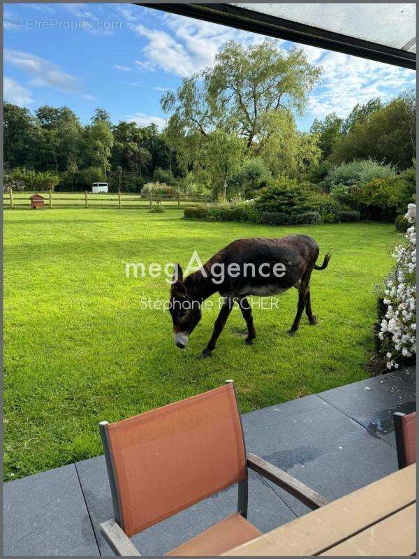 Maison 8 pièces de 265 m2 à Ecames (commune de Condette ) - photo 10