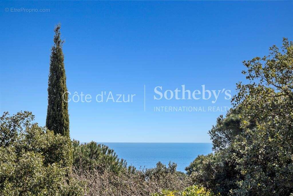 Maison à RAMATUELLE