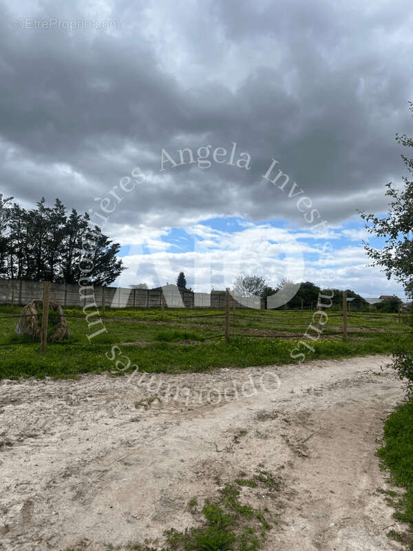 Terrain à LA BOISSE