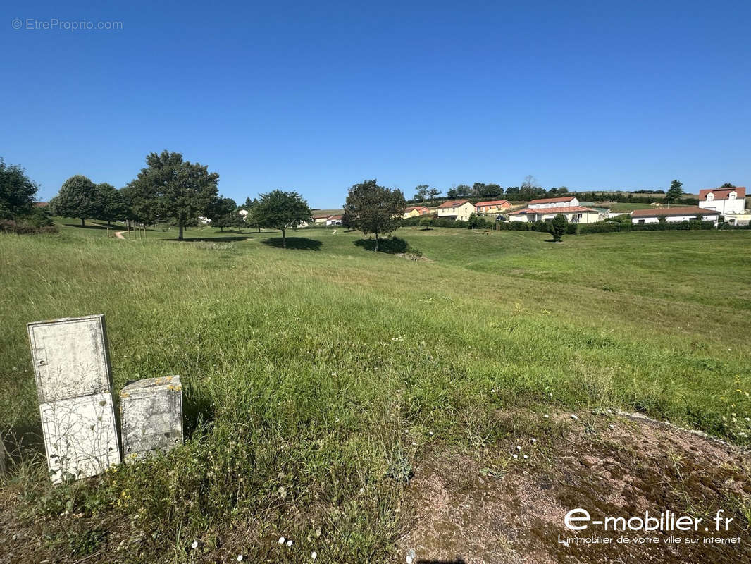 Terrain à LA CLAYETTE