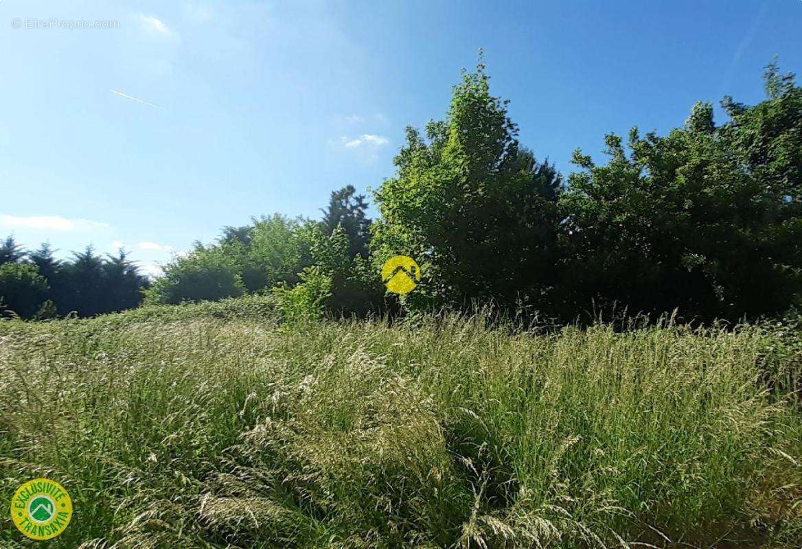 Maison à BUXIERES-LES-MINES