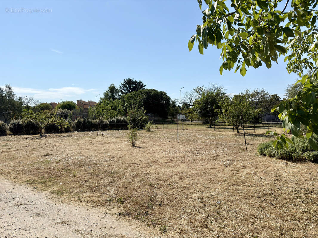Grand terrain à bâtir 890 m2 environ - Tournon sud - rue de Chapotte - photo 2