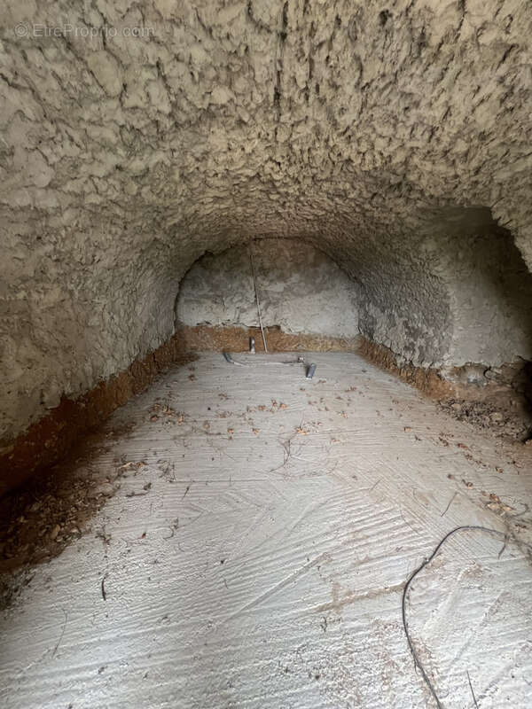 Cave 30 m2 avec jardinet - photo 2