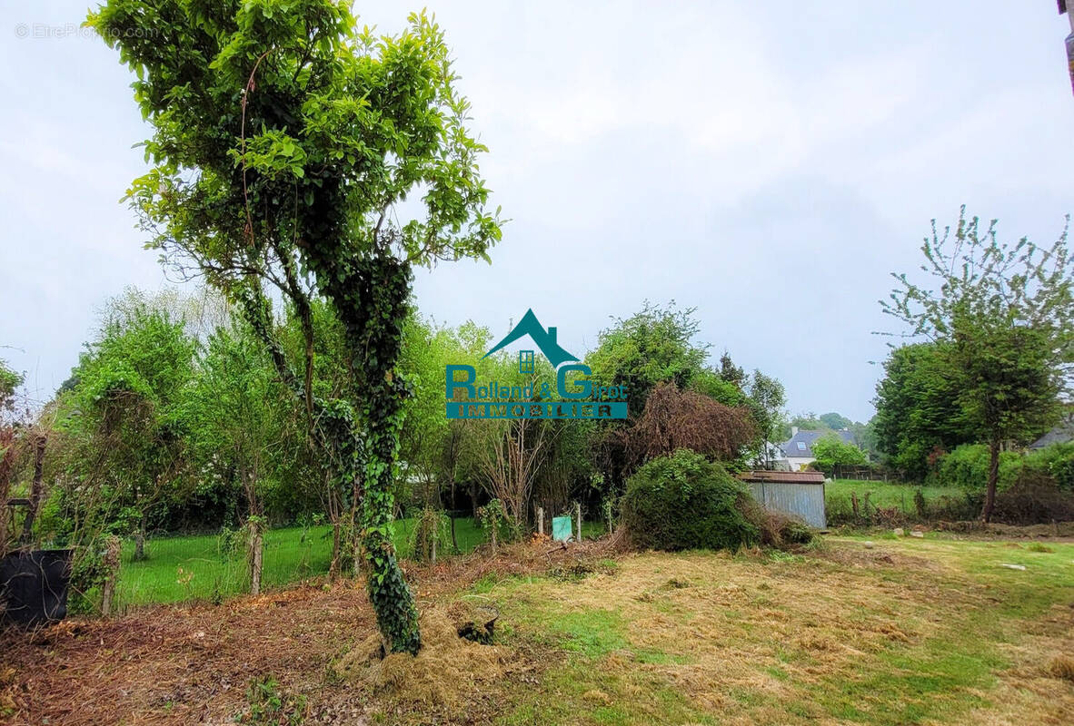 Terrain à THORIGNE-FOUILLARD