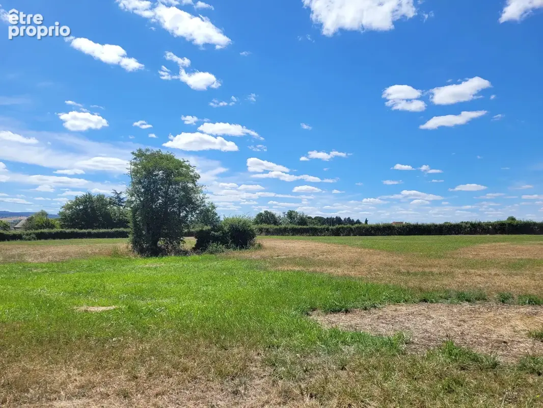 Terrain plat constructible de 3 500 m² à Chantelle - photo 9