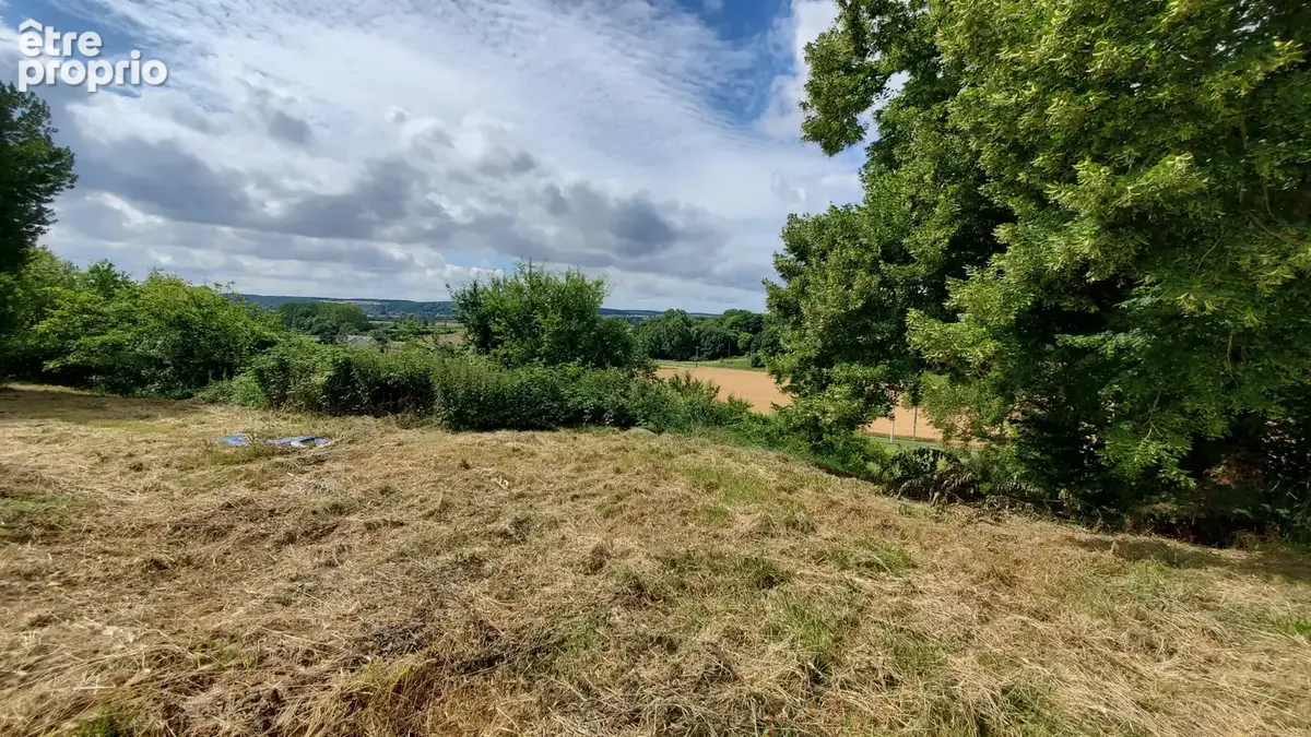 Grands volumes et tranquillité assurée - photo 27