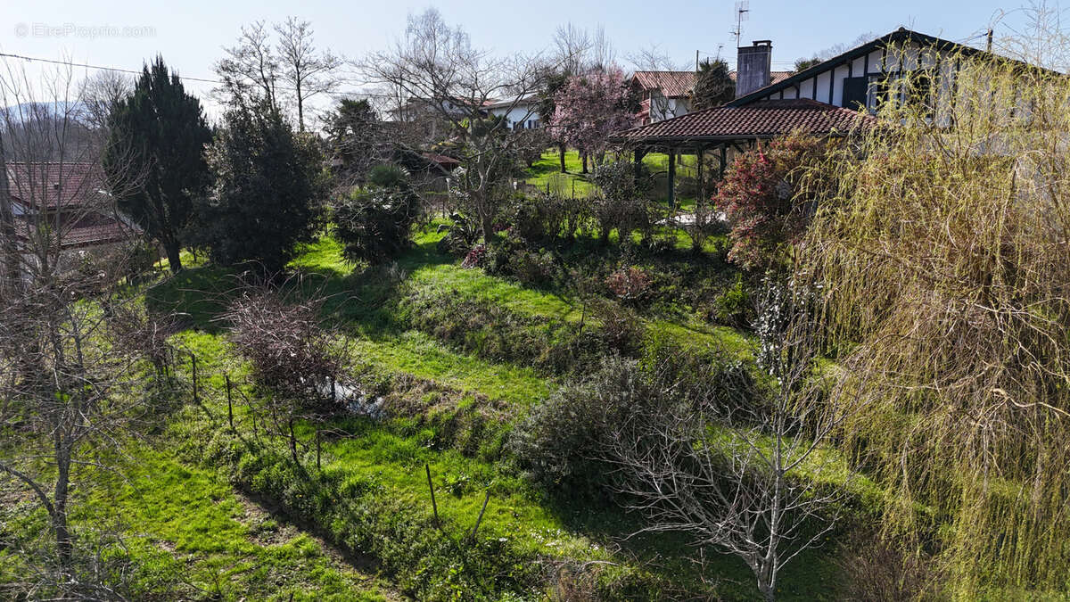 Terrain à AHETZE