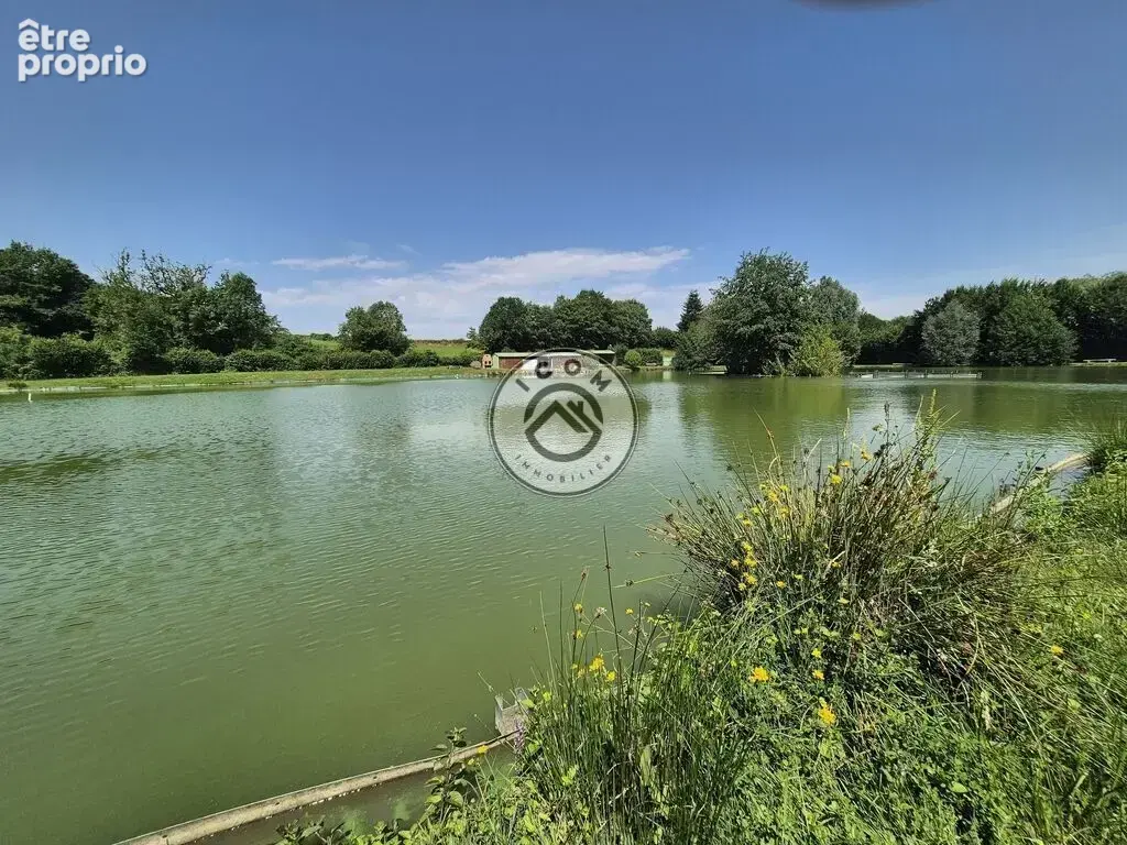Étang avec chalet sur 1,6 hectare – Bien rare à 15 min de Maubeu - photo 12