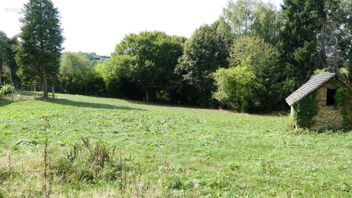 Terrain à CHATEAUNEUF-LA-FORET