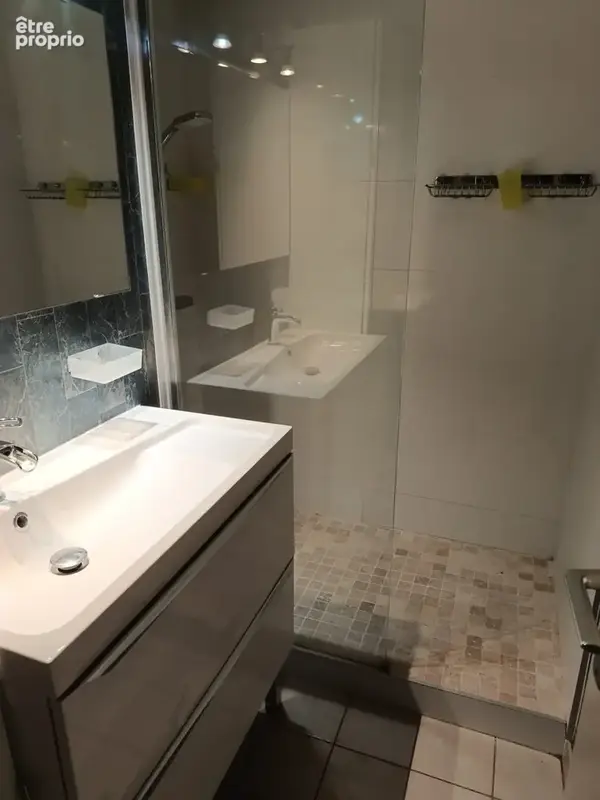 2 pièces cabine + garage - photo 4