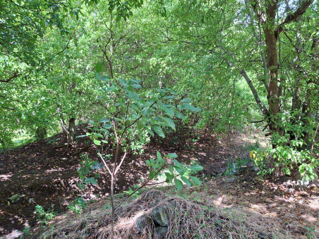 Terrain à TERRE-DE-BAS