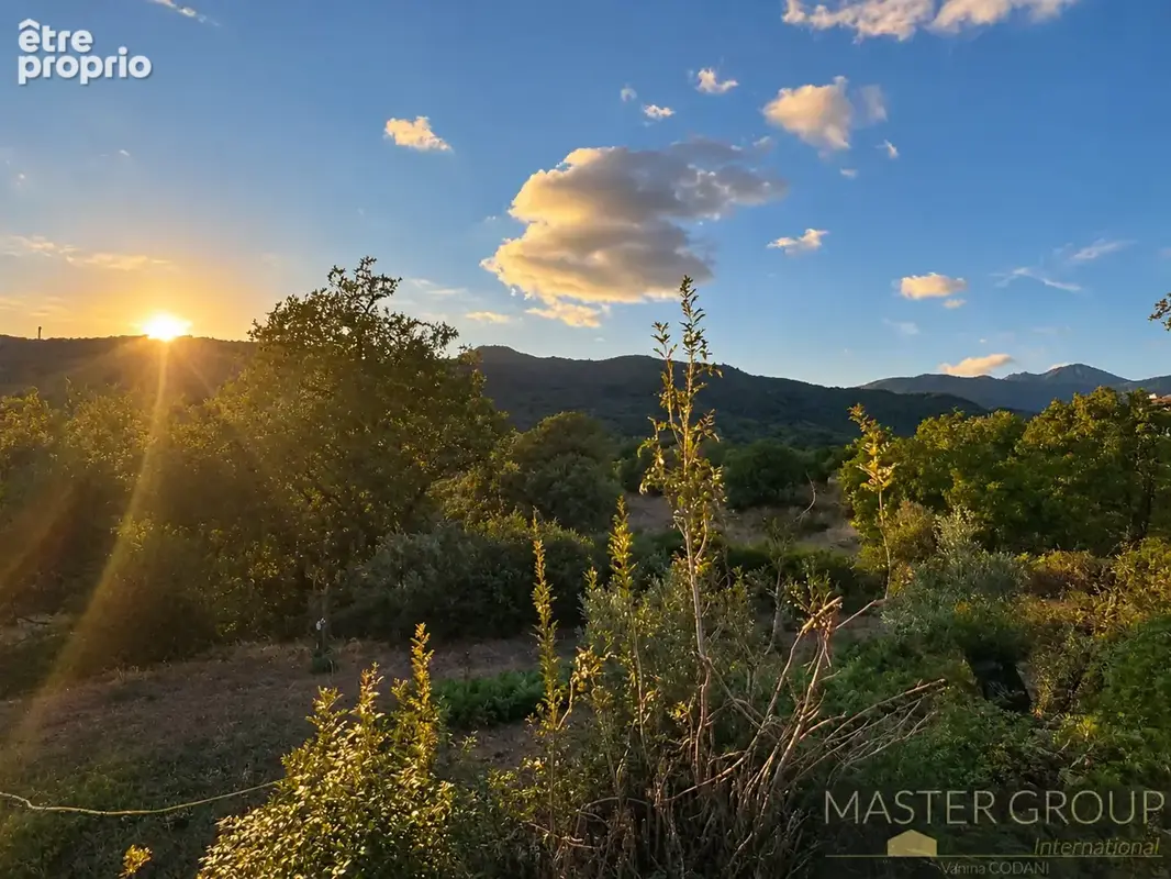 Photo Terrain à Forciolo au prix de 147 000€