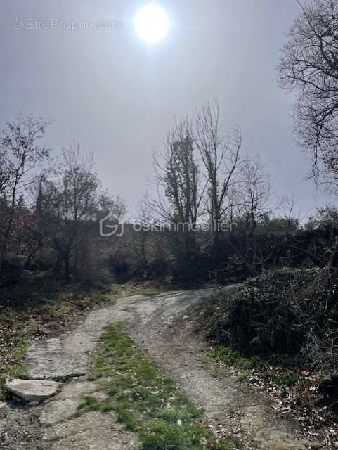 Terrain à MARQUIXANES