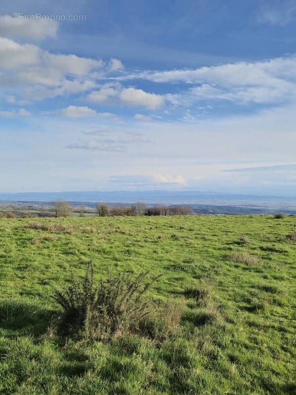 Terrain à VERDUN-EN-LAURAGAIS