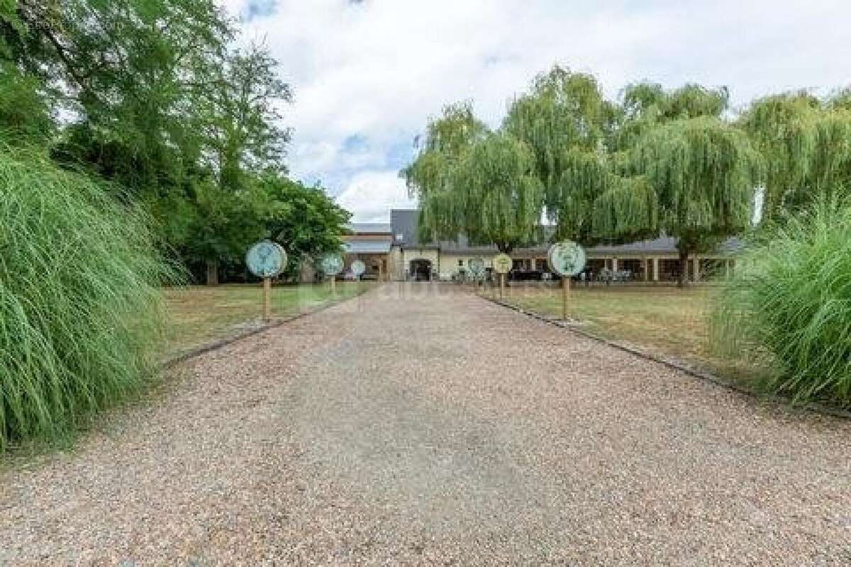 Photo 8 - Commerce à TOURS