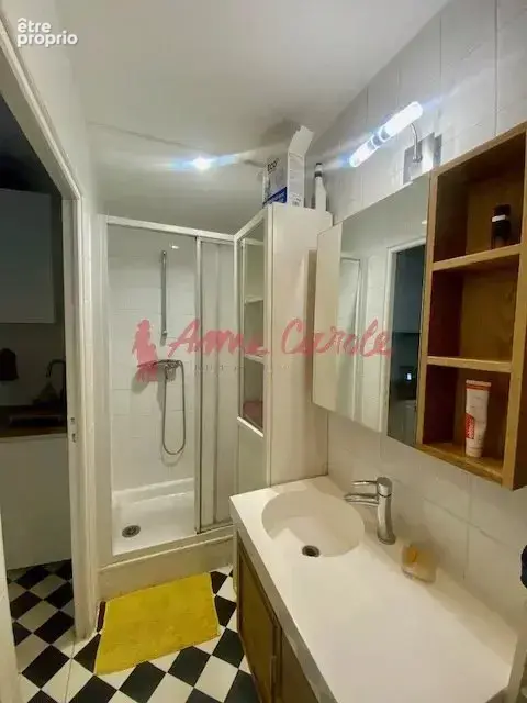 En rez-de-chaussée sur cour privative de 20m2 avec 2 caves - photo 8