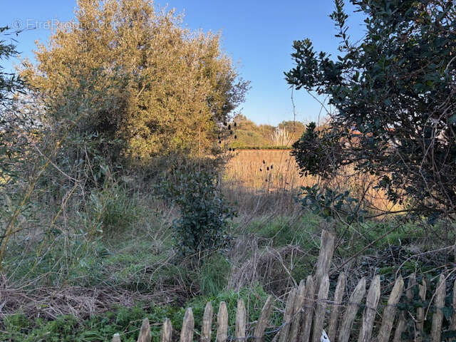Maison à L&#039;ILE-D&#039;OLONNE