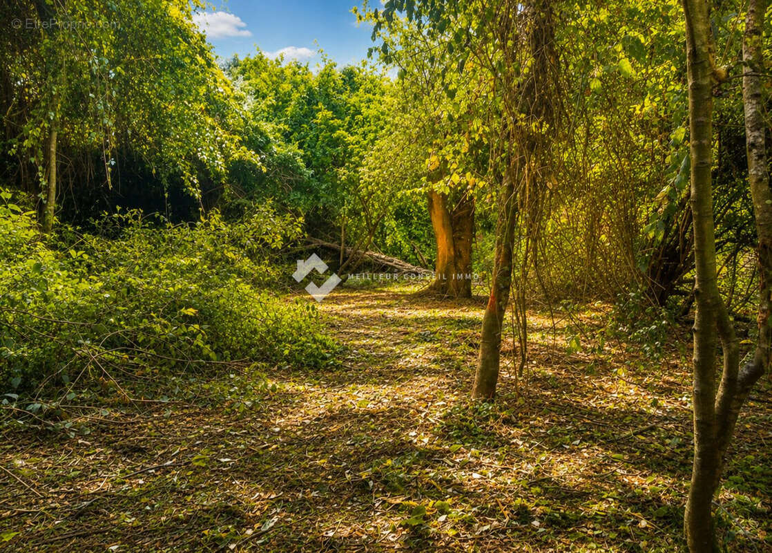 Terrain à PRUNO