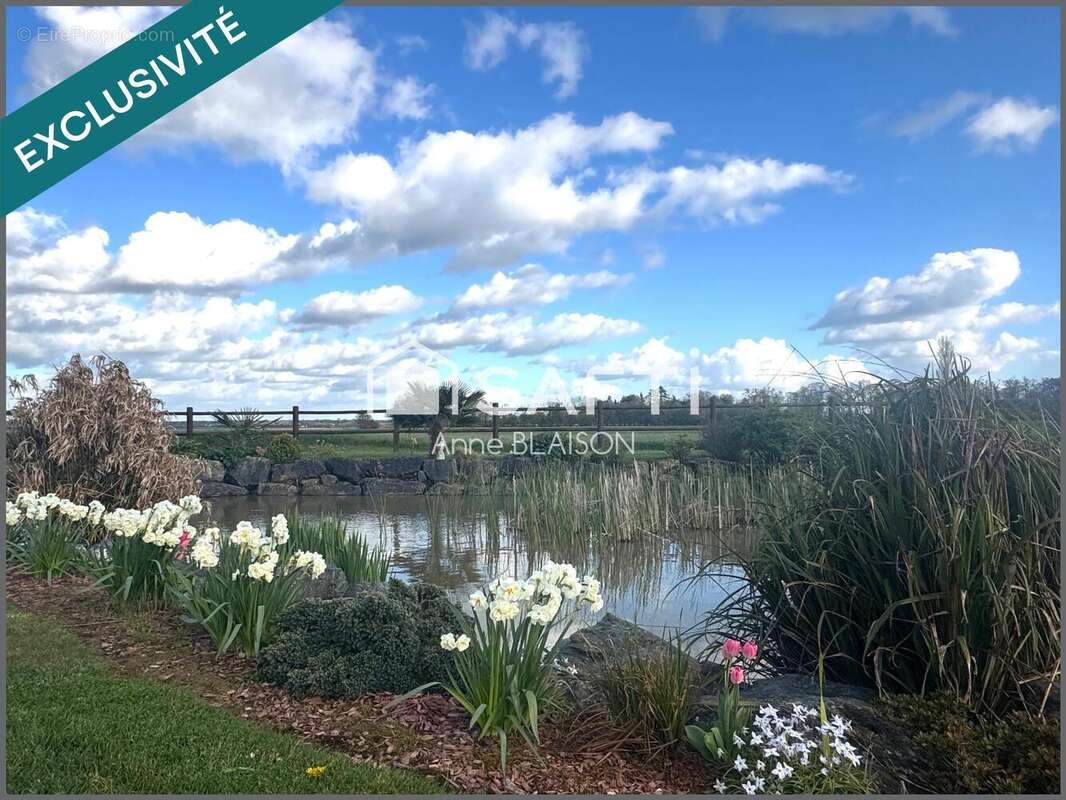 Photo 5 - Maison à SAINT-ANDRE-DE-BOHON