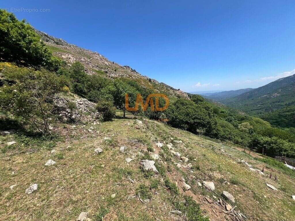Propriété 54 hectares, rare en Ardèche - photo 28