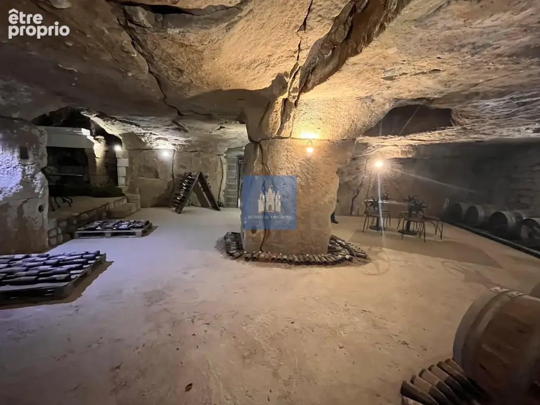 Pouançay (86) propriété de charme coeur village (5 ch) avec  grandes caves troglo - photo 35