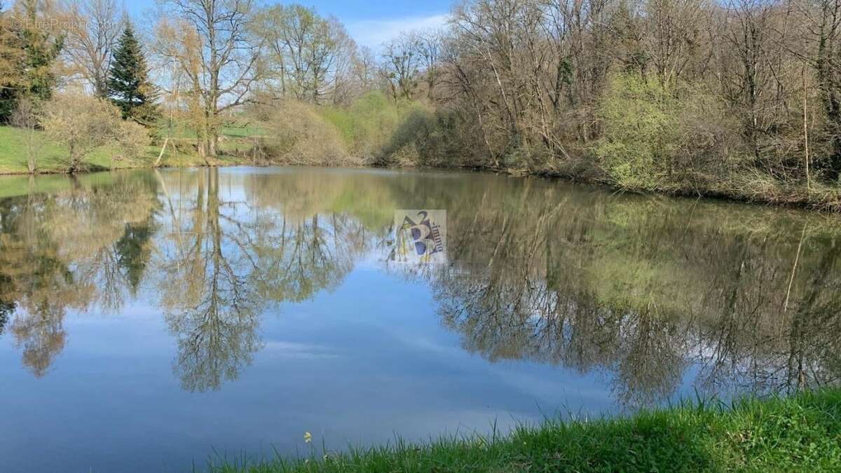 Terrain à DUSSAC