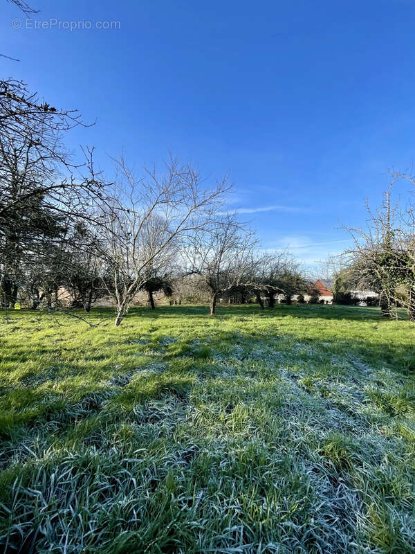 Terrain à TOUCY