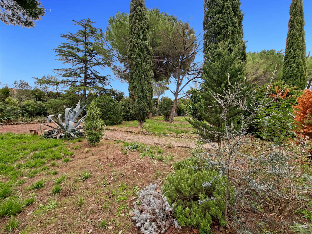 Terrain à CAZOULS-LES-BEZIERS