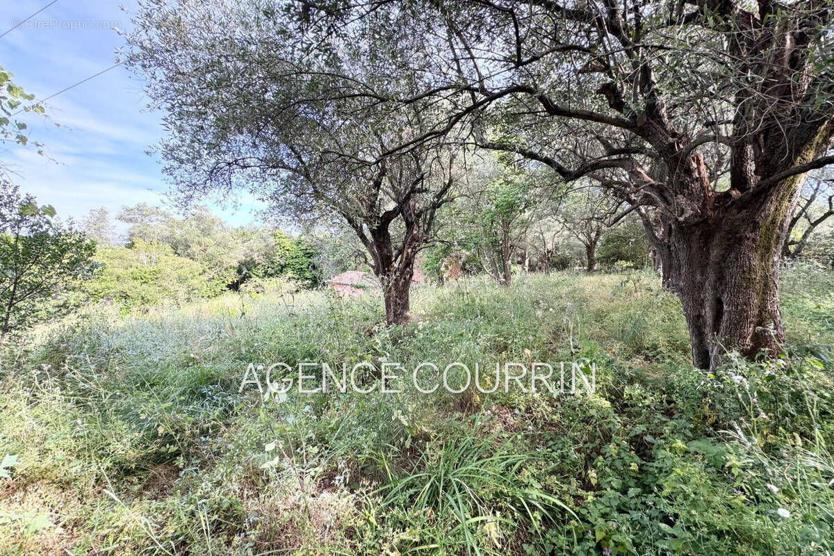 Terrain à GRASSE