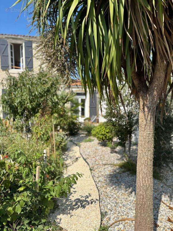 Propriété d’exception au cœur du village de Saint-Georges-d’Oléron - photo 9
